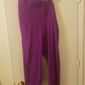 Lane Bryant purple Allie Capri